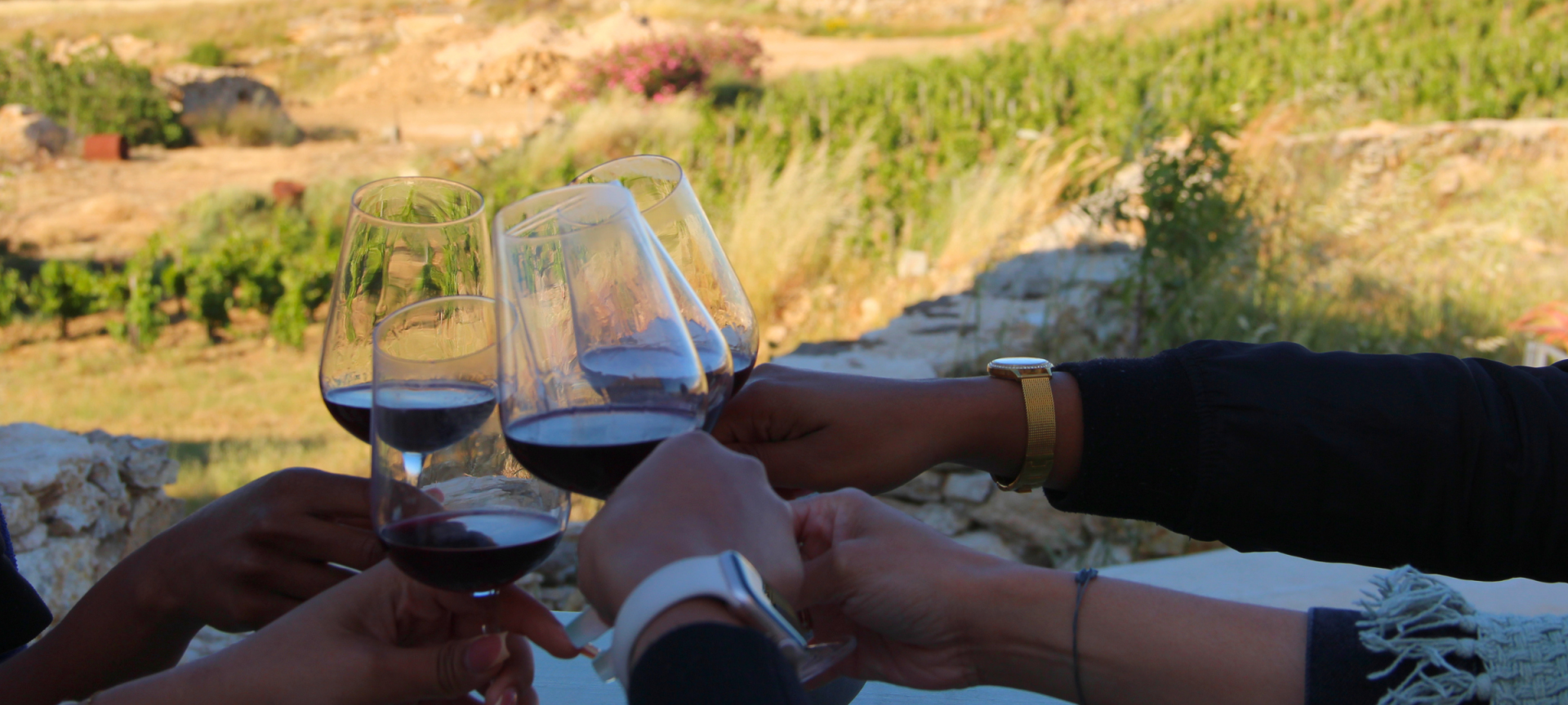 Myrsini Winery - Authentic and Memorable Wine Tastings in Paros 4