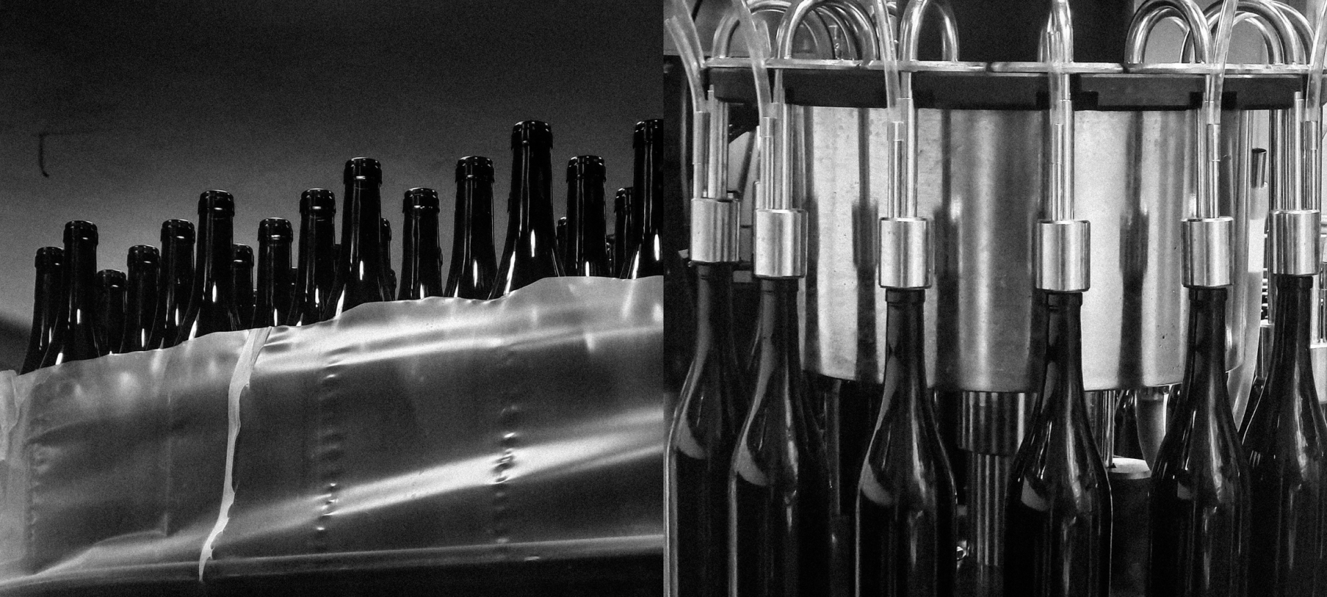 Myrsini Winery - Authentic and Memorable Wine Tastings in Paros 5