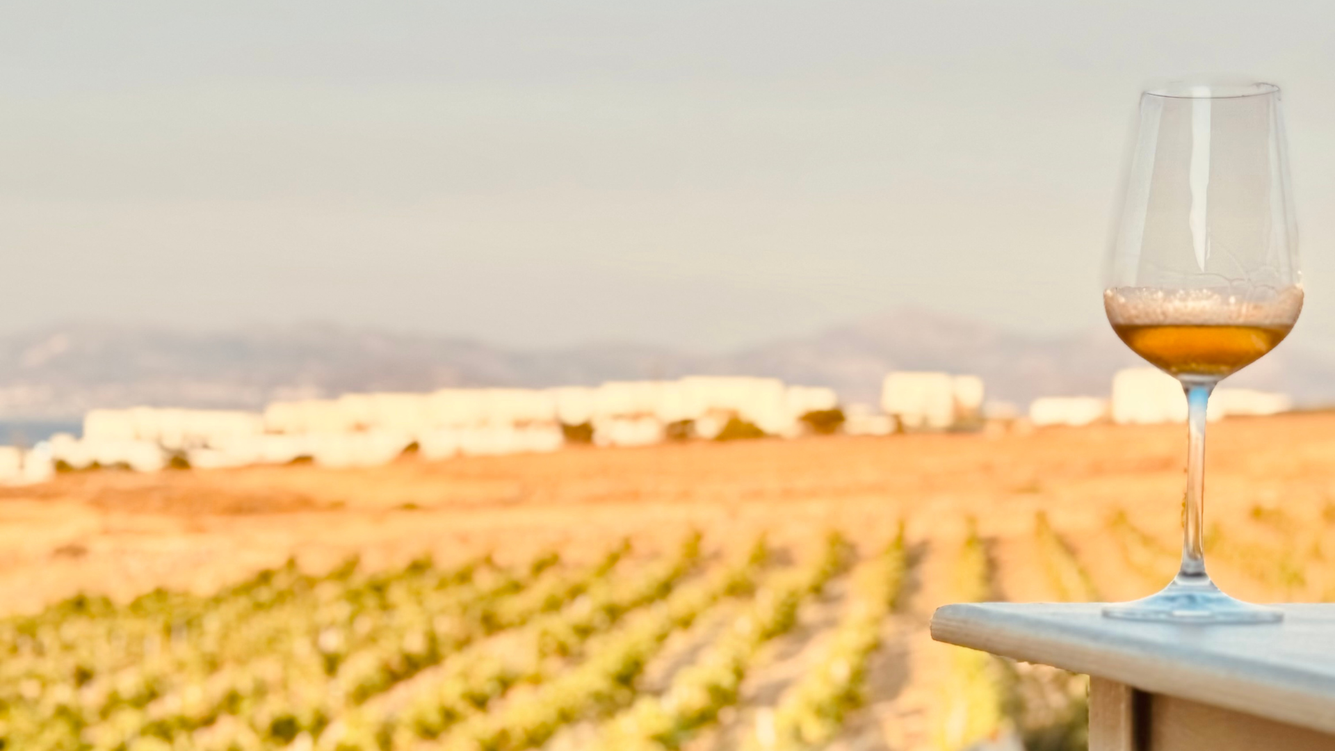 Myrsini Winery - Authentic and Memorable Wine Tastings in Paros 3